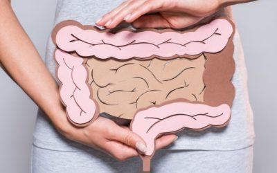Salud intestinal, clave de nuestra salud global
